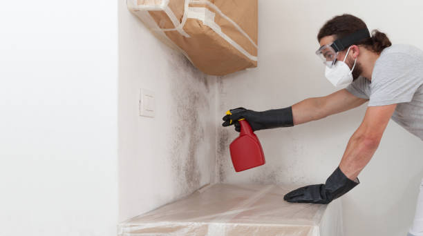 Professional Basement Mold Removal technician working in Riverdale, NJ