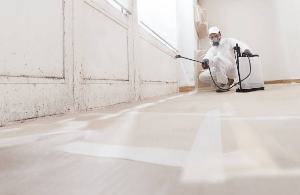 24/7 Emergency Basement Mold Removal experts in Riverdale, NJ