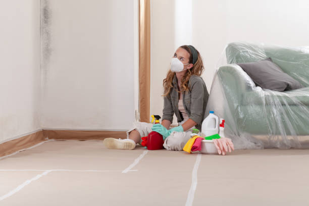Reliable Basement Mold Removal contractor in Riverdale, NJ by WQB Mold Removal